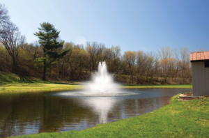 Water Pumps for Fountains That Keep Every Spray Pattern Flowing Smoothly and Consistently