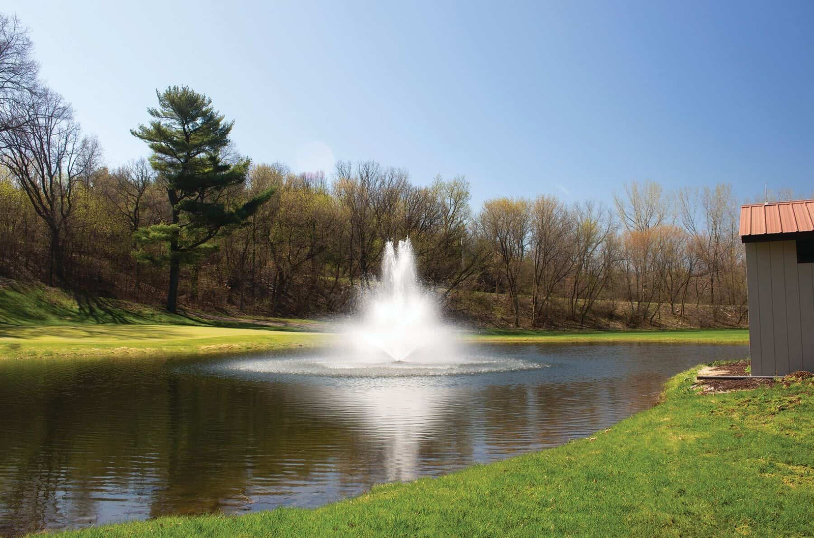 Water Pumps for Fountains That Keep Every Spray Pattern Flowing Smoothly and Consistently